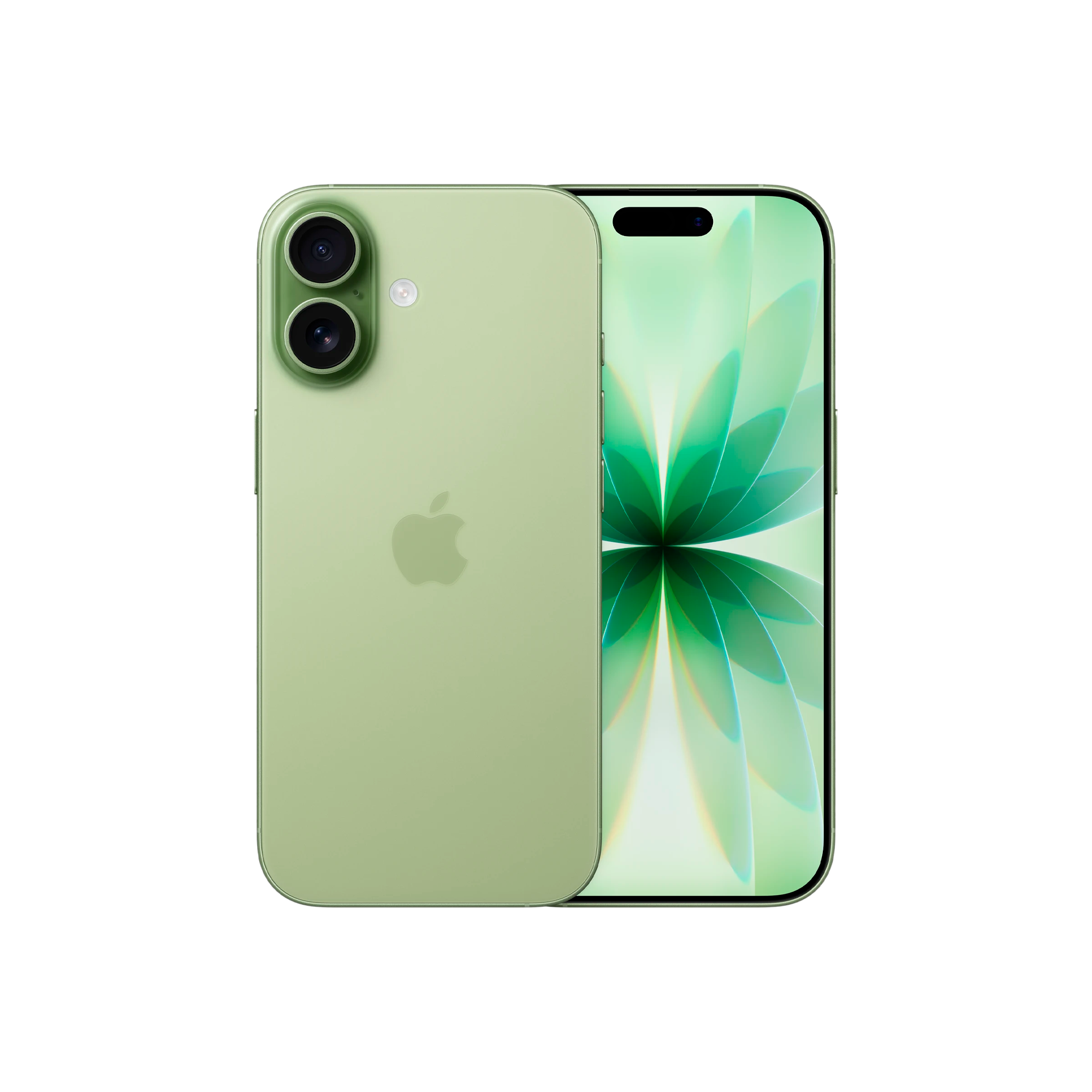 Смартфон Apple iPhone 17 256 ГБ eSim, цвет: шалфейный (Sage)